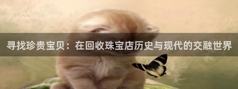 新宝5五：寻找珍贵宝贝：在回收珠宝店历史与现代的交融世界