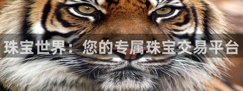 新宝5褚32OO59：珠宝世界：您的专属珠宝交易平台