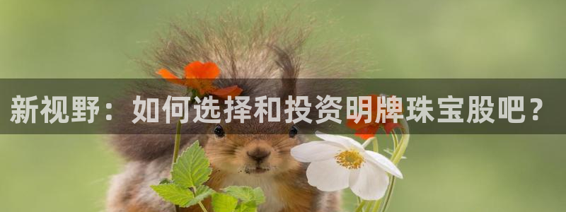 新宝5的网址：新视野：如何选择和投资明牌珠宝股吧？
