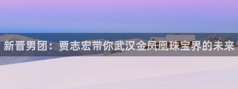 新宝5月：新晋男团：贾志宏带你武汉金凤凰珠宝界的未来