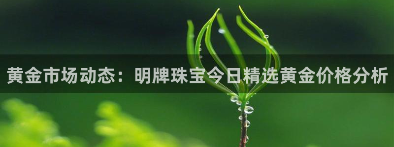 新宝5登录测速中心：黄金市场动态：明牌珠宝今日精选黄金价格分析