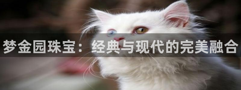 新宝5注册链接：梦金园珠宝：经典与现代的完美融合