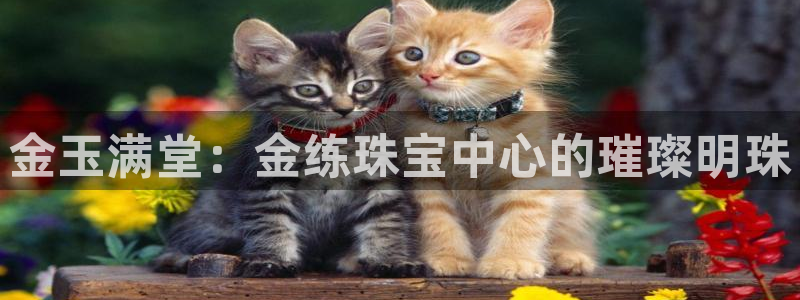 新宝5线路登录检测：金玉满堂：金练珠宝中心的璀璨明珠