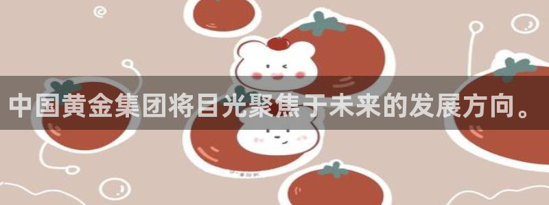 新宝5注册平台：中国黄金集团将目光聚焦于未来的发展方向。