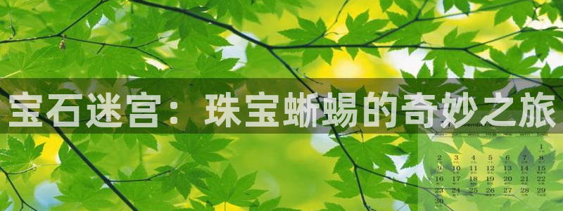 新宝5吴74OOO5：宝石迷宫：珠宝蜥蜴的奇妙之旅