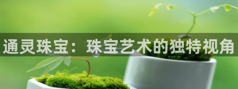 新宝骏rc5W：通灵珠宝：珠宝艺术的独特视角