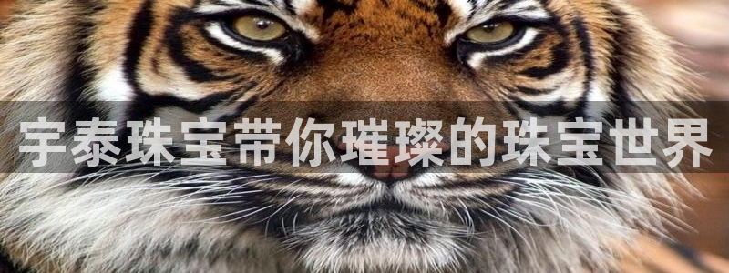 新宝5官方网站：宇泰珠宝带你璀璨的珠宝世界