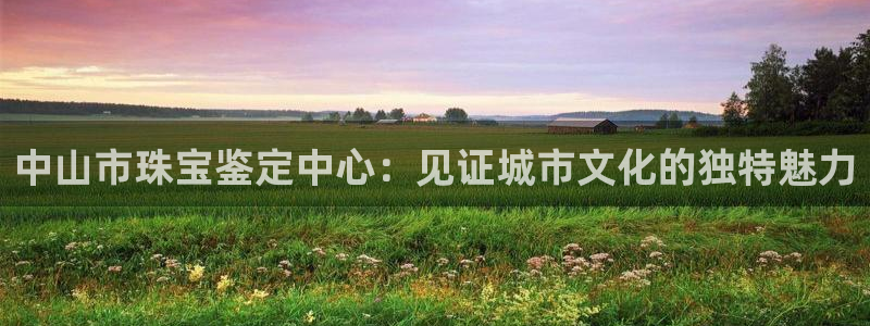 新宝5手机平台登陆