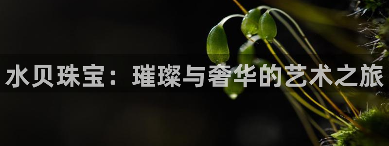 新宝5下载app：水贝珠宝：璀璨与奢华的艺术之旅