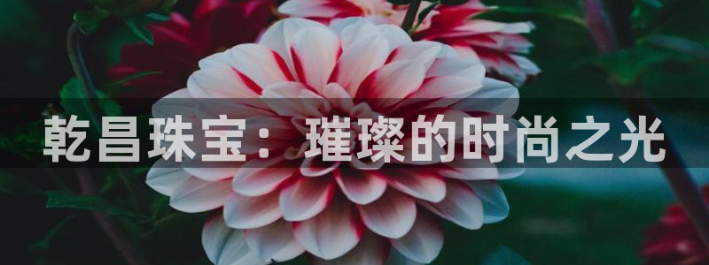 新宝5网址