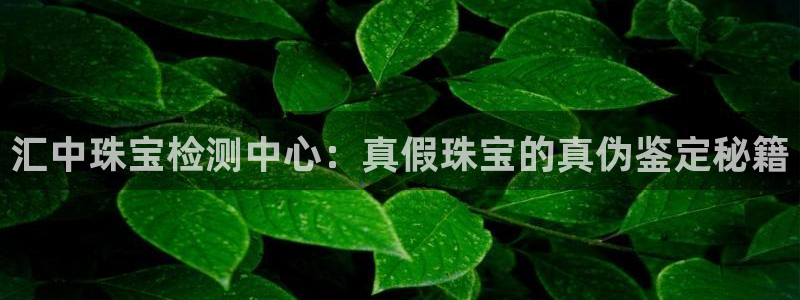 新宝5娱乐平台：汇中珠宝检测中心：真假珠宝的真伪鉴定秘籍