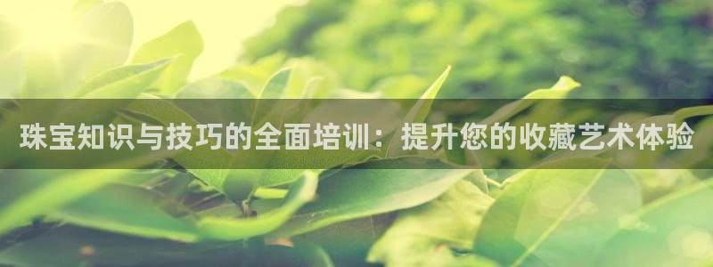 新宝5吕74OOO5：珠宝知识与技巧的全面培训：提升您的收藏艺术体验