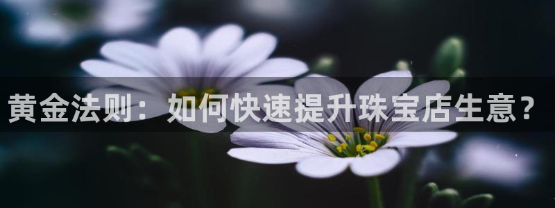 新宝5下载到桌面：黄金法则：如何快速提升珠宝店生意？