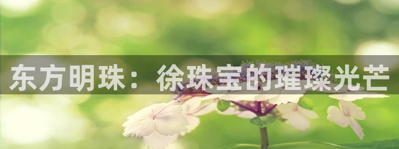 新宝m2O5O5O