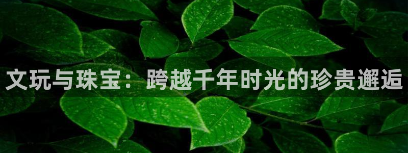 新宝5培训：文玩与珠宝：跨越千年时光的珍贵邂逅