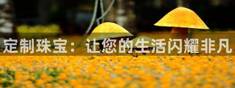 新宝m2O5O5O：定制珠宝：让您的生活闪耀非凡