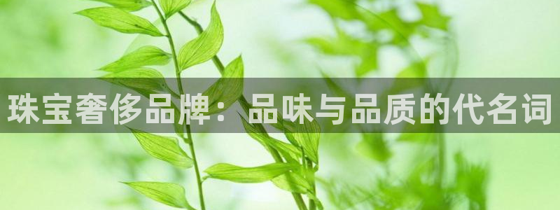新5宝：珠宝奢侈品牌：品味与品质的代名词