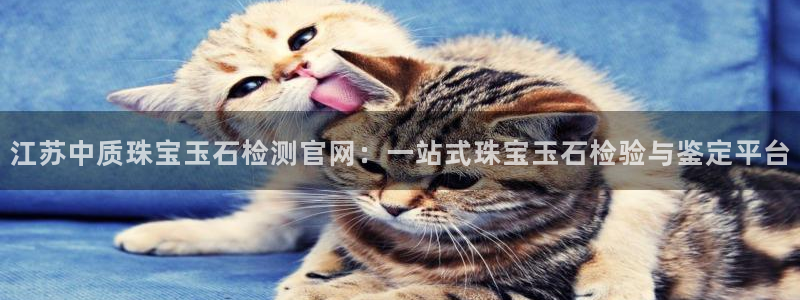 新宝5总代：江苏中质珠宝玉石检测官网：一站式珠宝玉石检验与鉴定平台