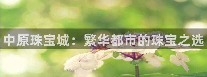 新宝5湫333 00：中原珠宝城：繁华都市的珠宝之选