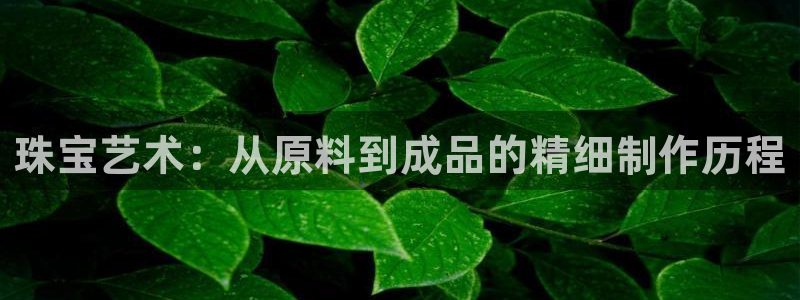 新5宝：珠宝艺术：从原料到成品的精细制作历程