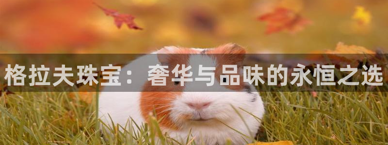 新宝5官网平台：格拉夫珠宝：奢华与品味的永恒之选