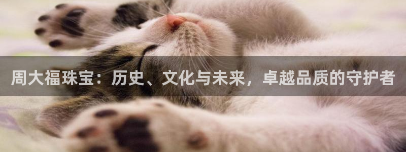 新宝5官方网站：周大福珠宝：历史、文化与未来，卓越品质的守护者