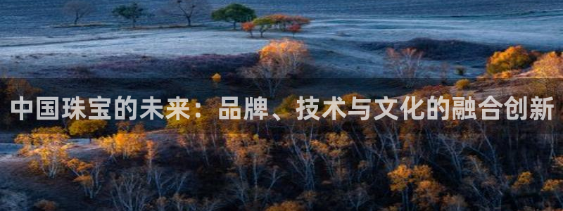 新宝5电脑：中国珠宝的未来：品牌、技术与文化的融合创新