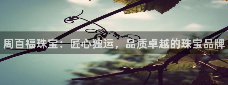 p5r新宝魔：周百福珠宝：匠心独运，品质卓越的珠宝品牌