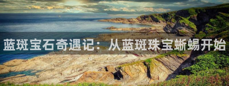 新宝5手机版：蓝斑宝石奇遇记：从蓝斑珠宝蜥蜴开始